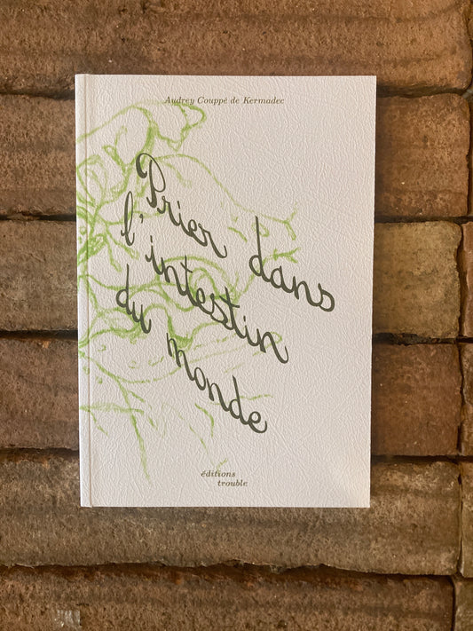 Prier dans l'intestin du monde