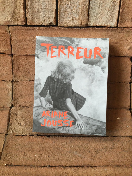 Terreur (Livre)