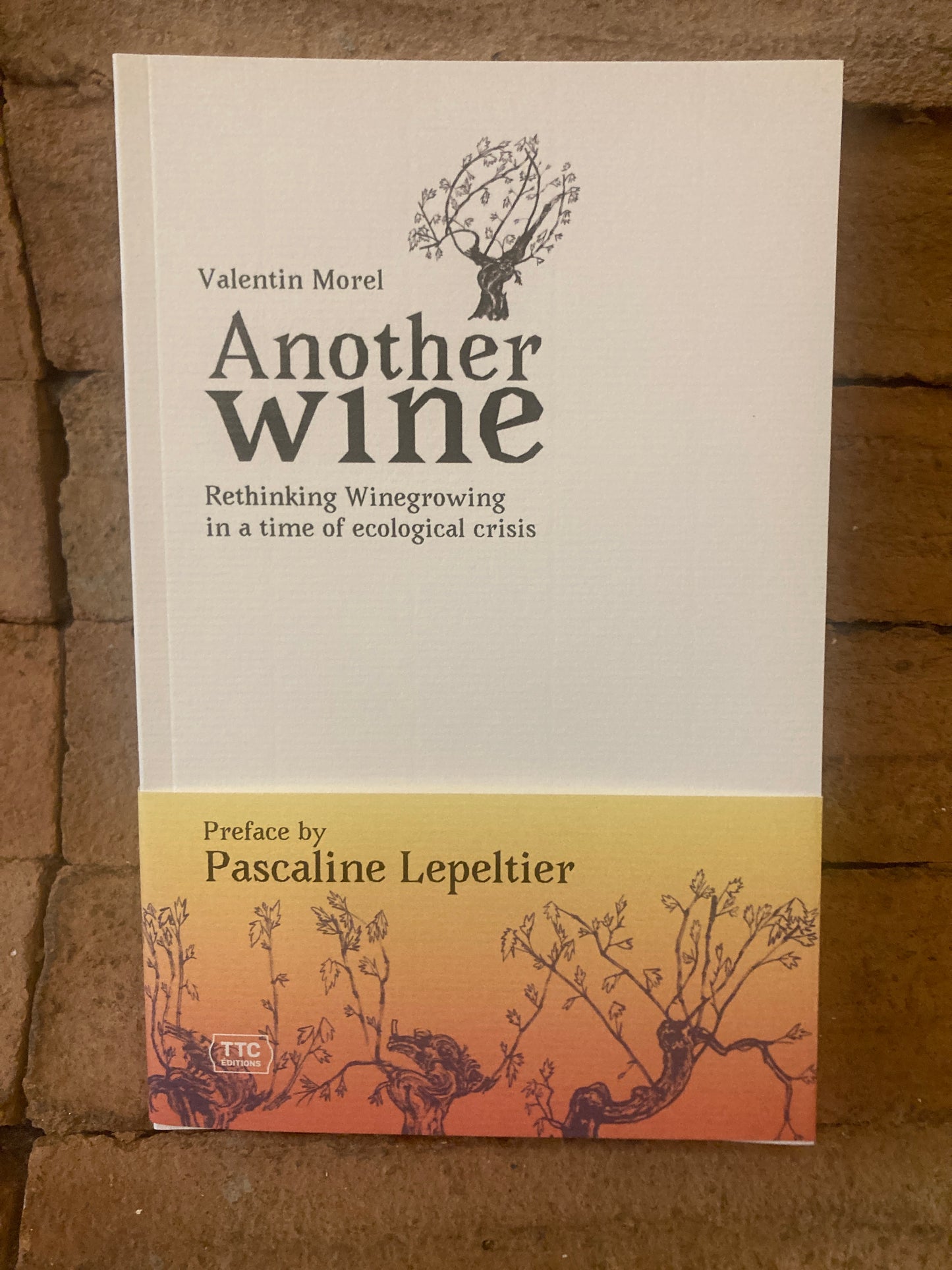 Another Wine (V. Morel)