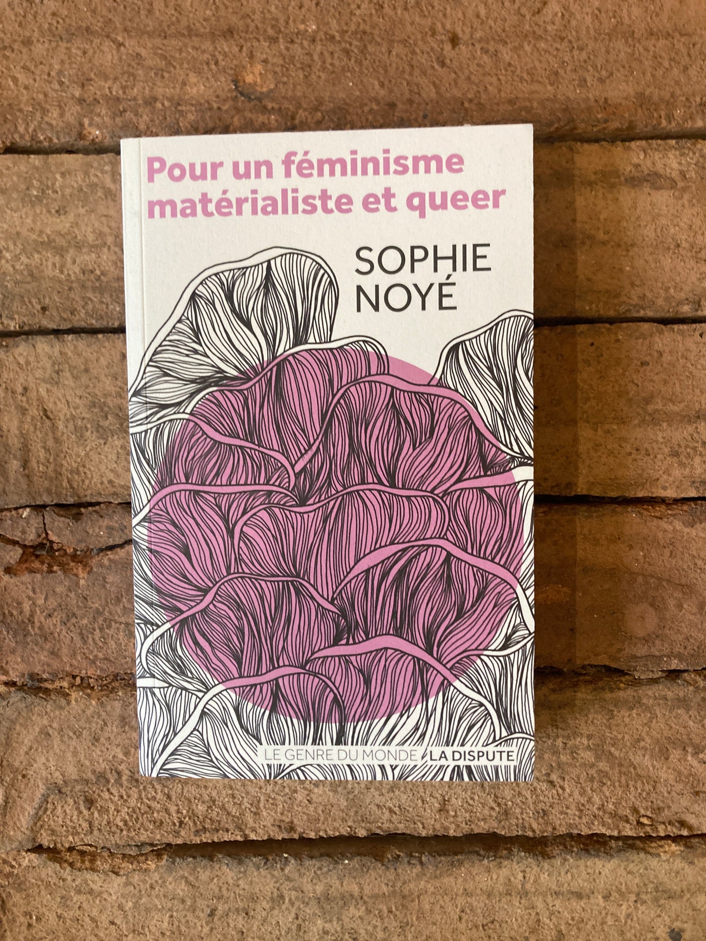 Pour un féminisme matérialiste et queer