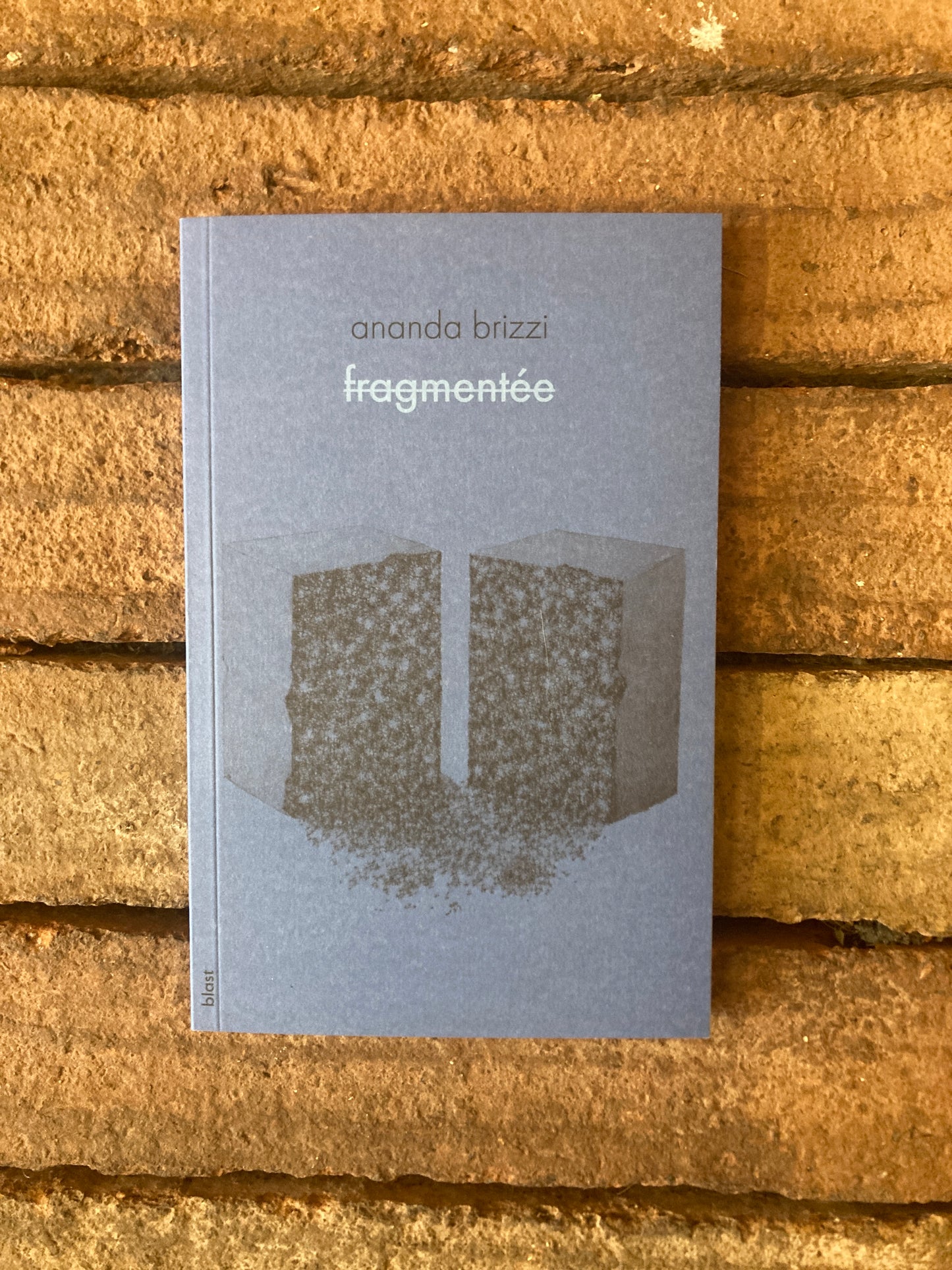 fragmentée (Livre)