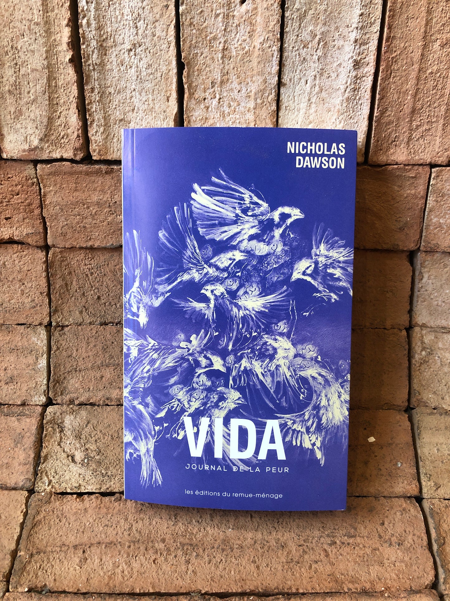 Vida - Journal de la peur
