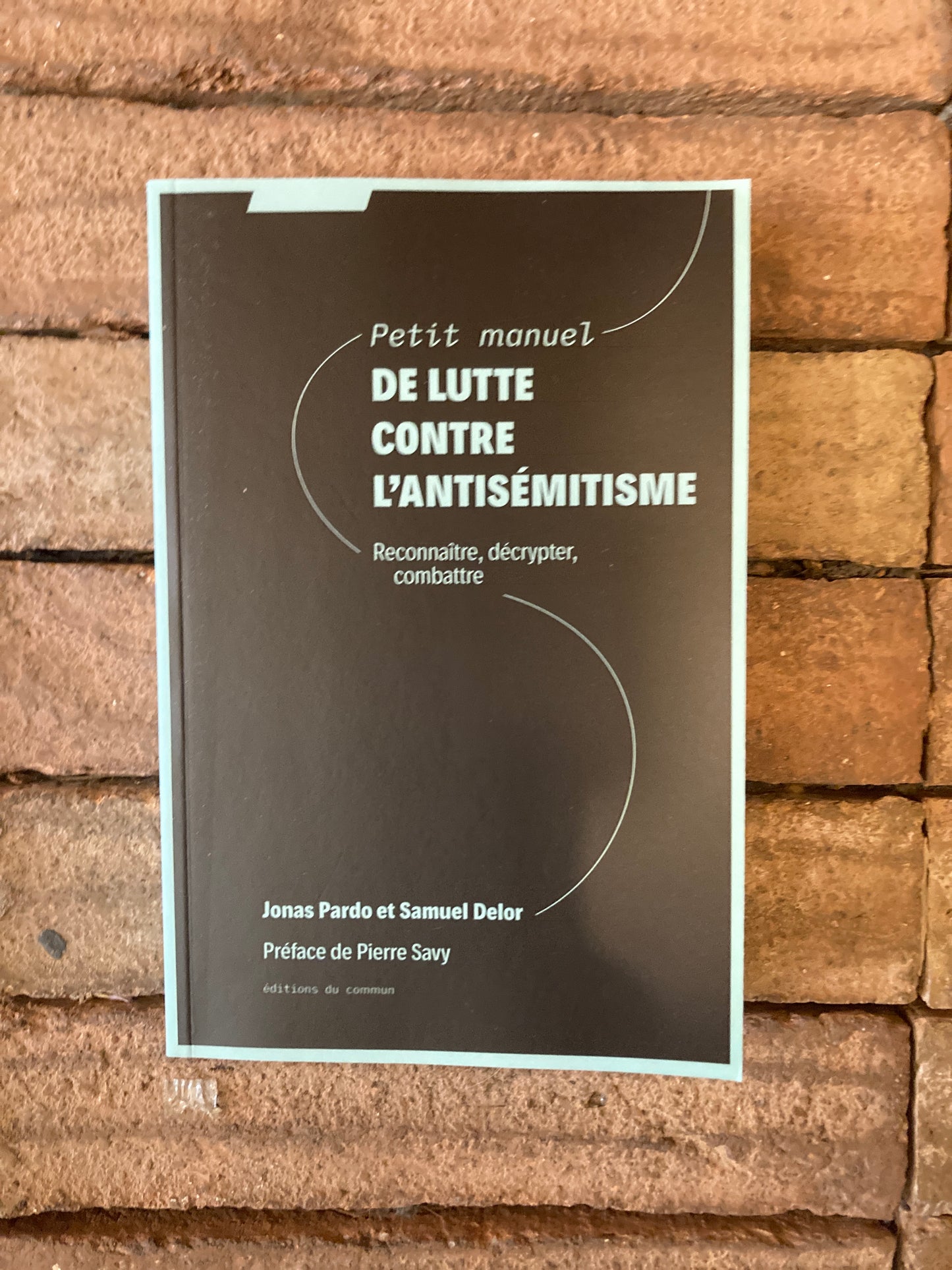 Petit manuel de lutte contre l'antisémitisme: Reconnaitre, décrypter, combattre