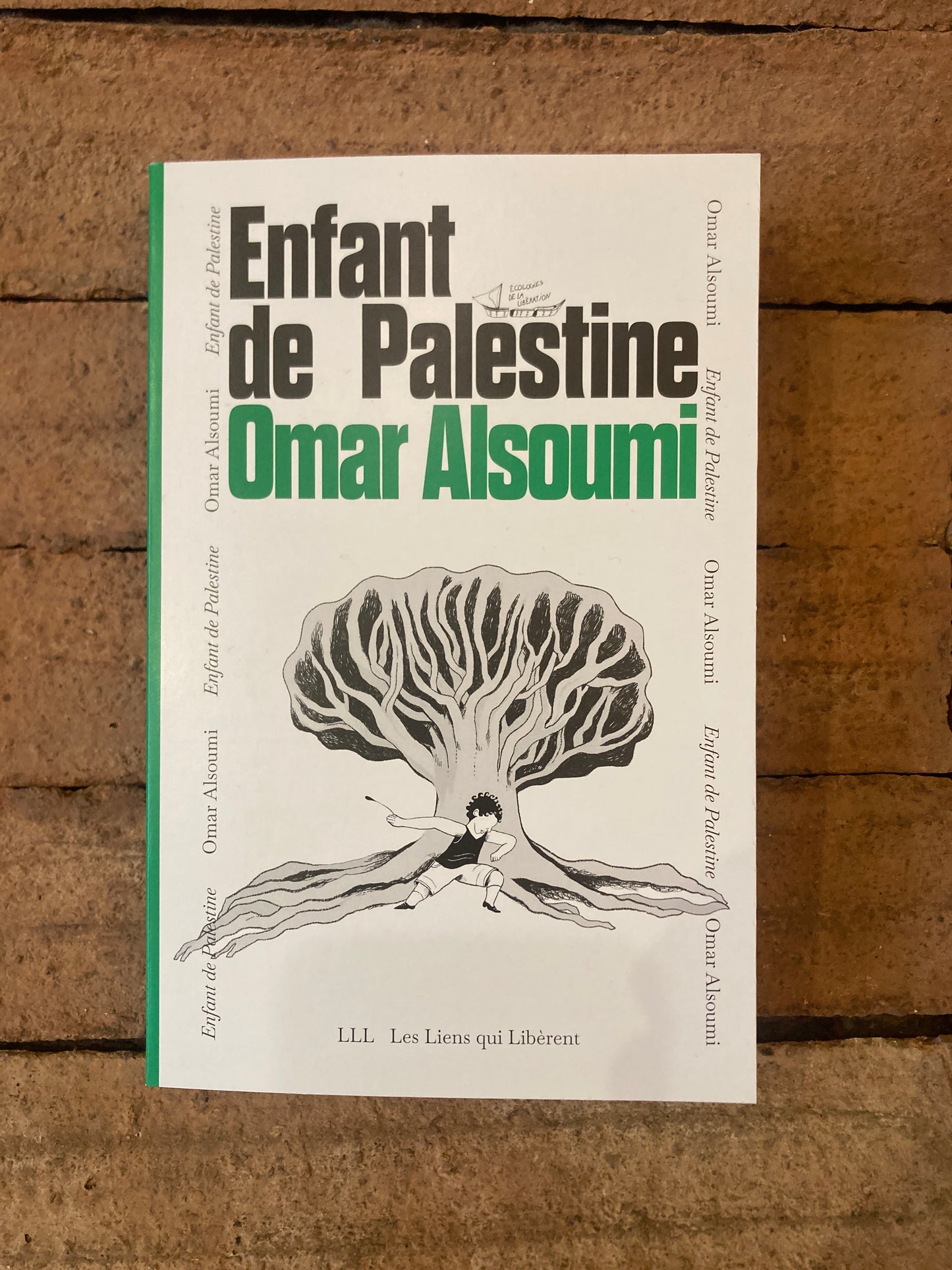 Enfant de Palestine