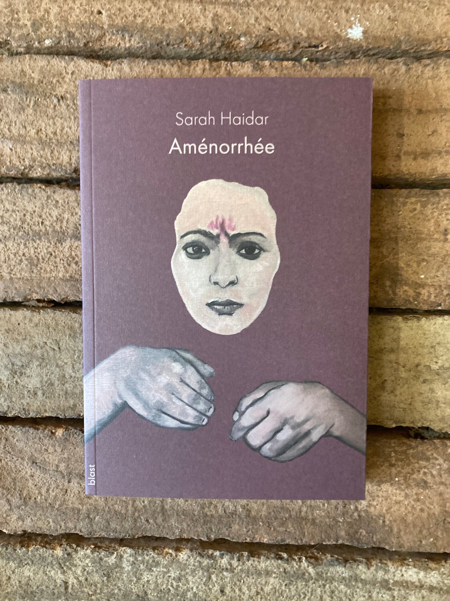 Aménorrhée (Livre)