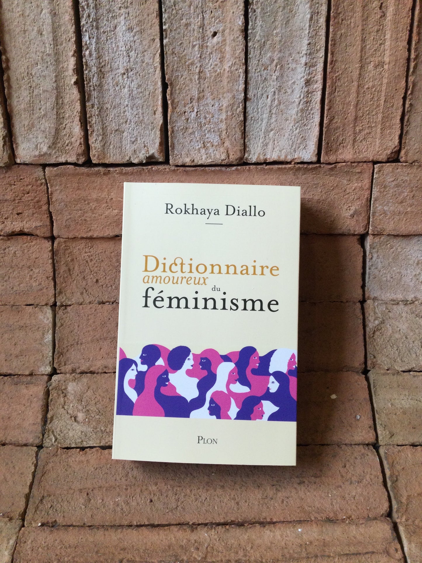 Dictionnaire amoureux du Féminisme