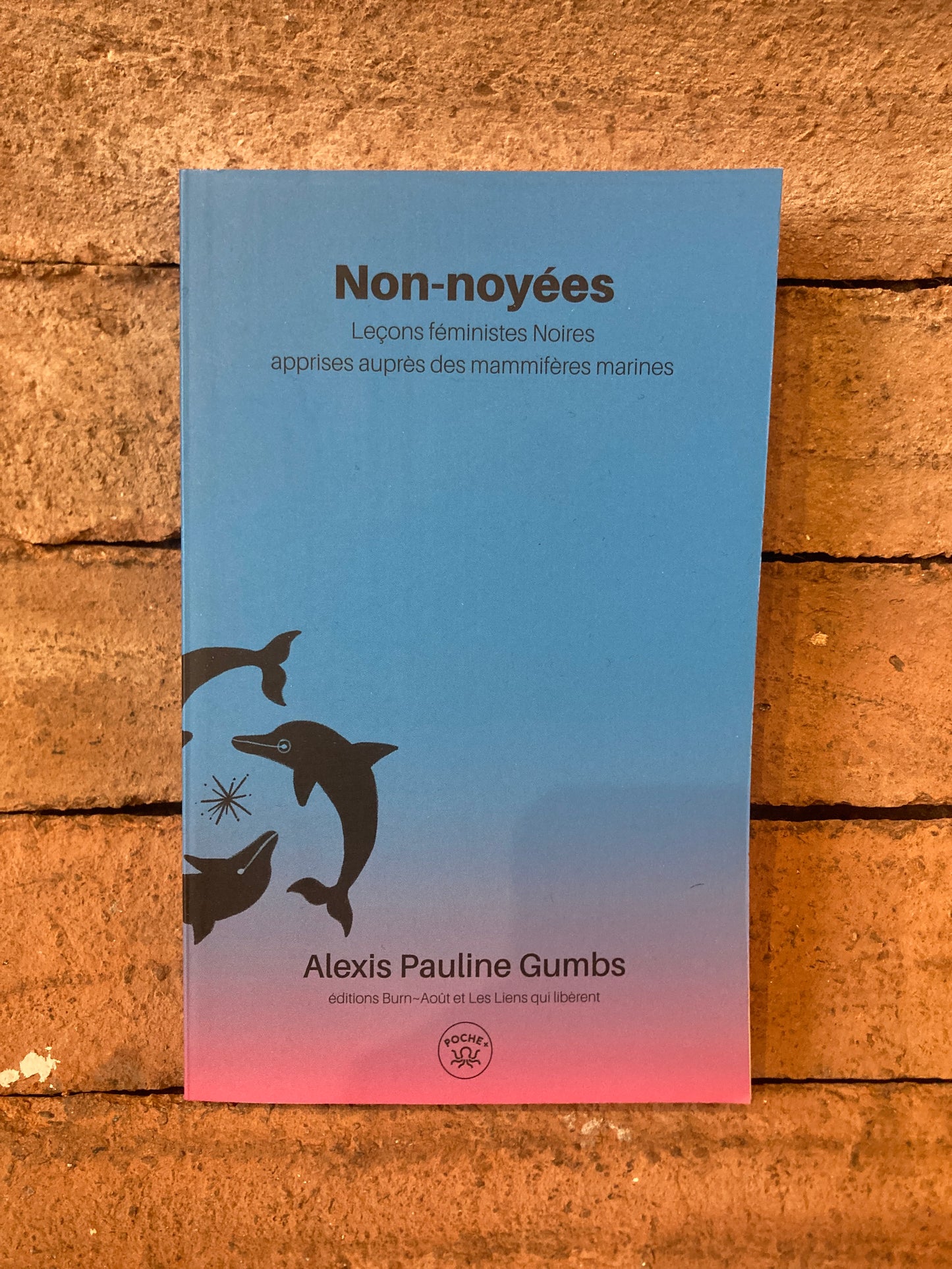 Non-Noyées (Poche)