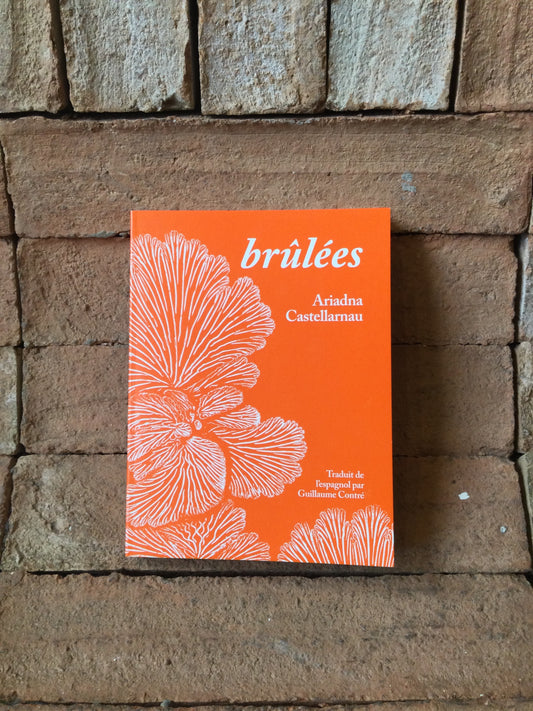 Brûlées (Livre)
