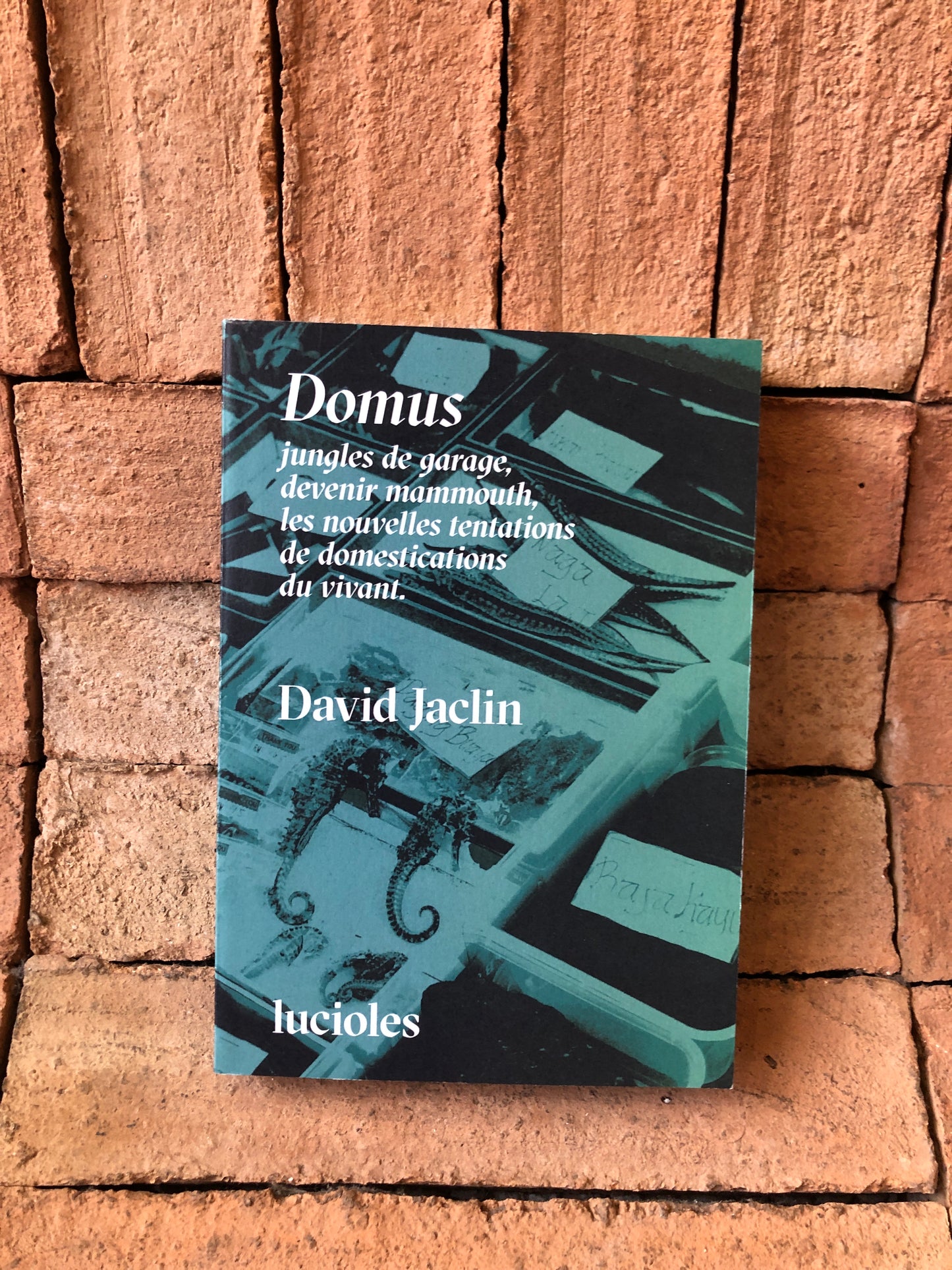 Domus, jungles de garage, devenir mammouth, les nouvelles tentations de domestication du vivant