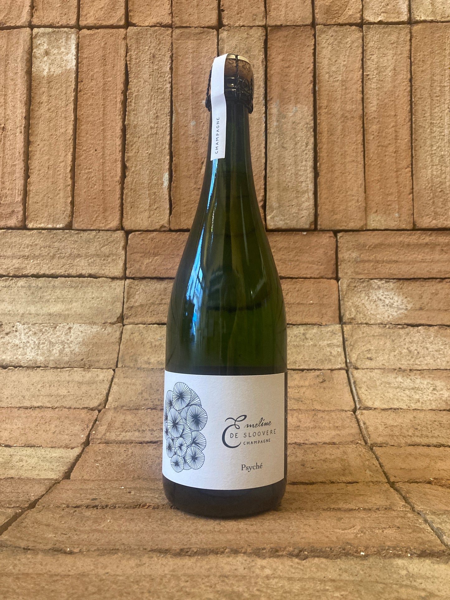 Champagne Émeline de Sloovere - Psyché Extra Brut NV