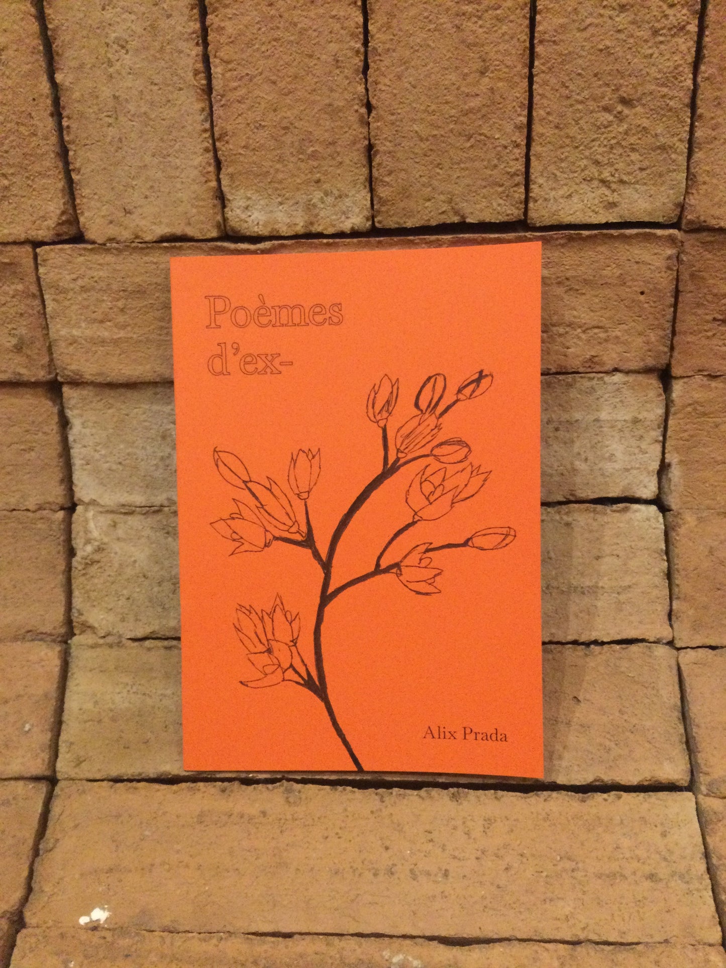 Poèmes d’ex