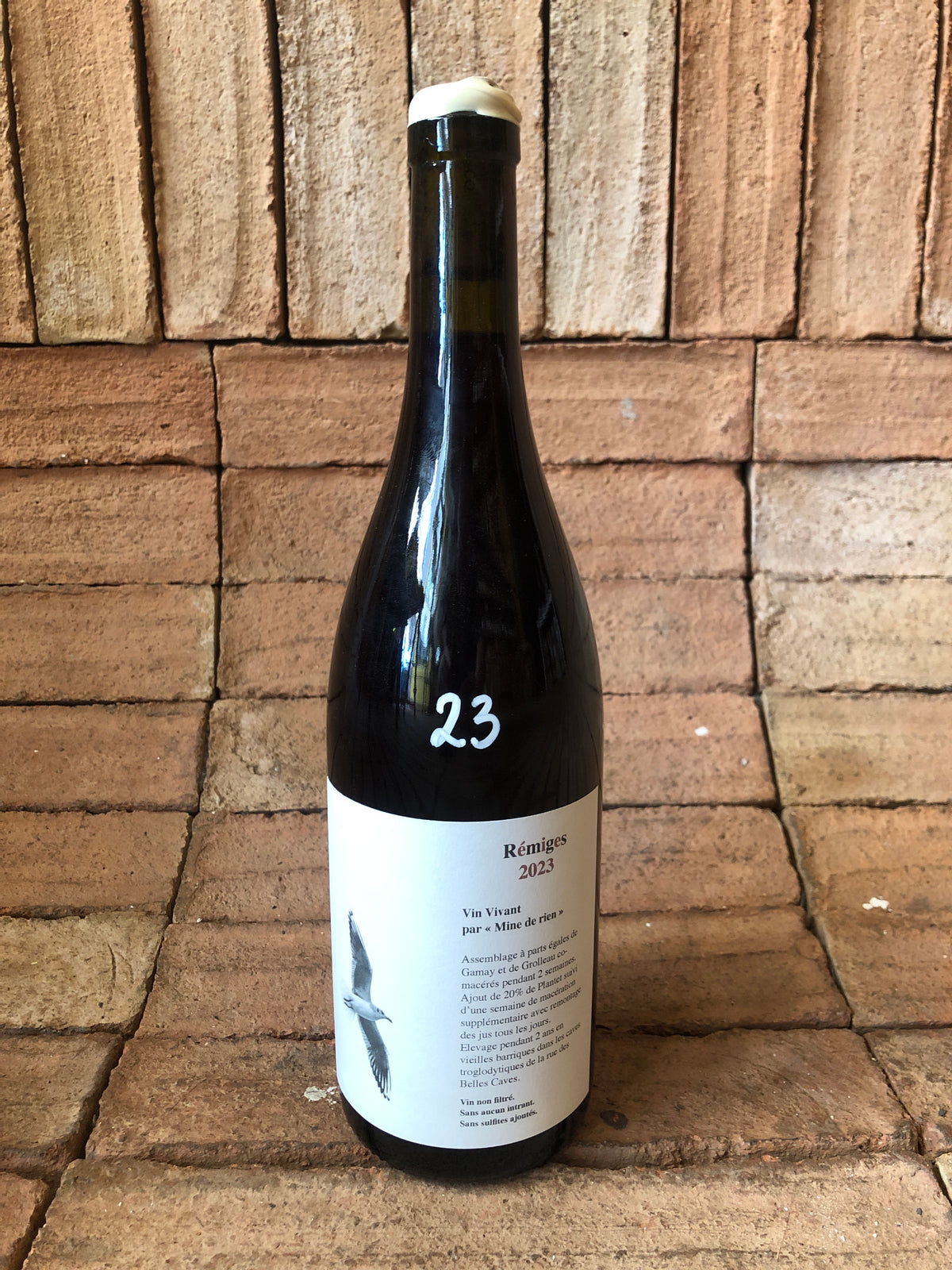 Mine de Rien - Rémiges 2023