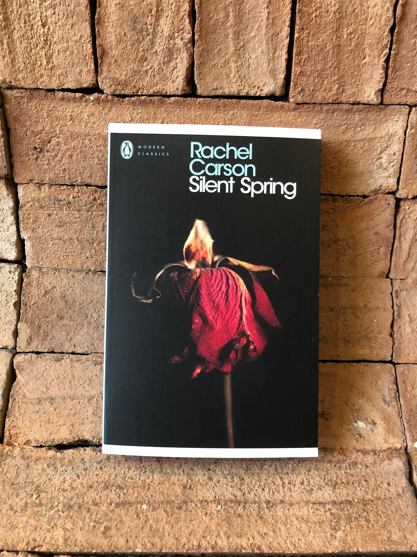 Silent Spring