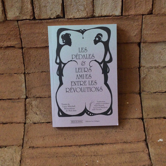 Les pédales et leurs ami.es entre les révolutions