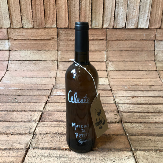 Les Cigales dans la Fourmilière - Celeste 2024