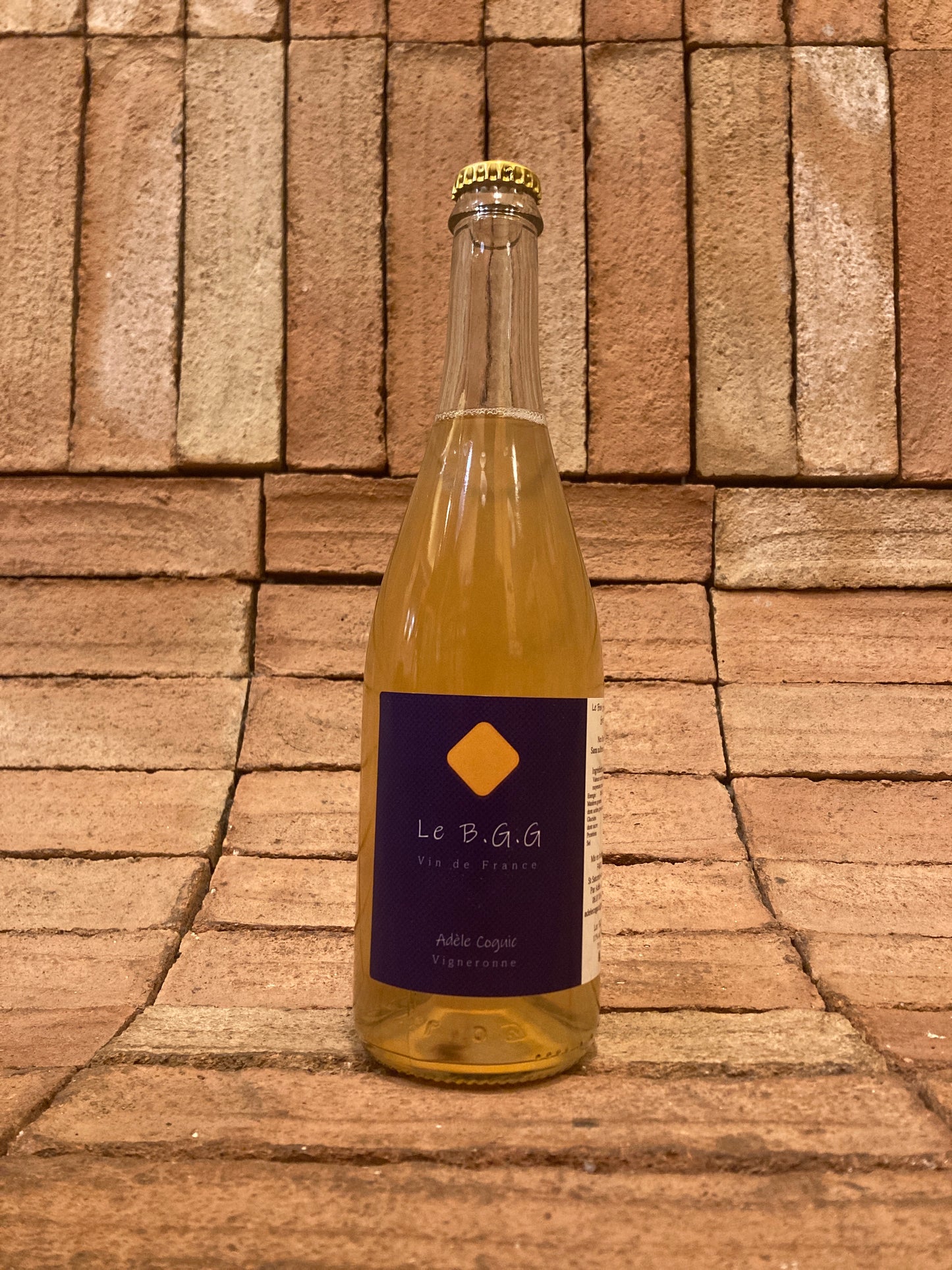 Adèle Coguic - Le B.G.G. 2024