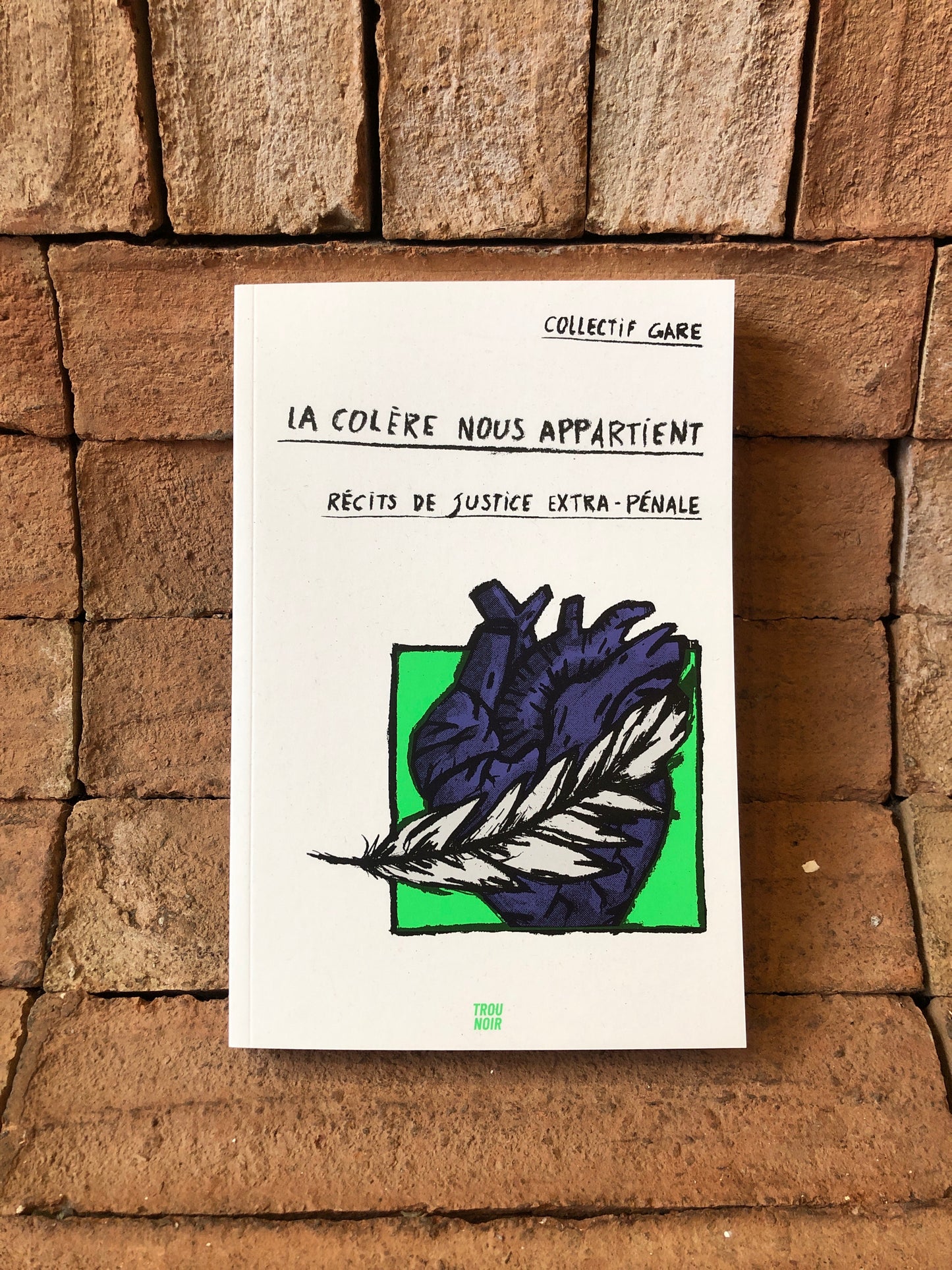 La colère nous appartient - récits de justice extra-pénale