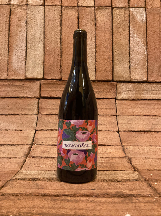 Lisa le Postec - Novembre 2025