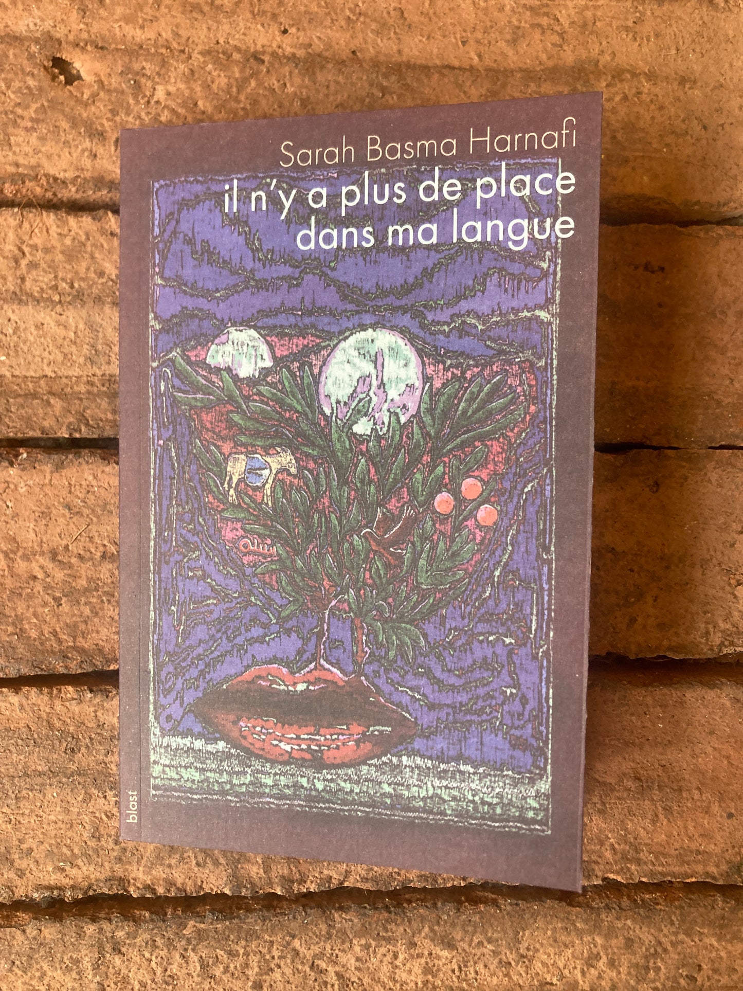 Il n'y a plus de place dans ma langue