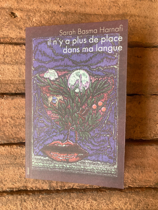 Il n'y a plus de place dans ma langue