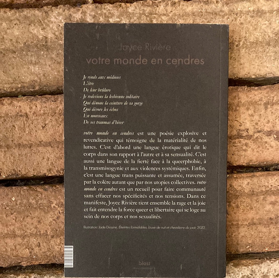 Votre monde en cendres