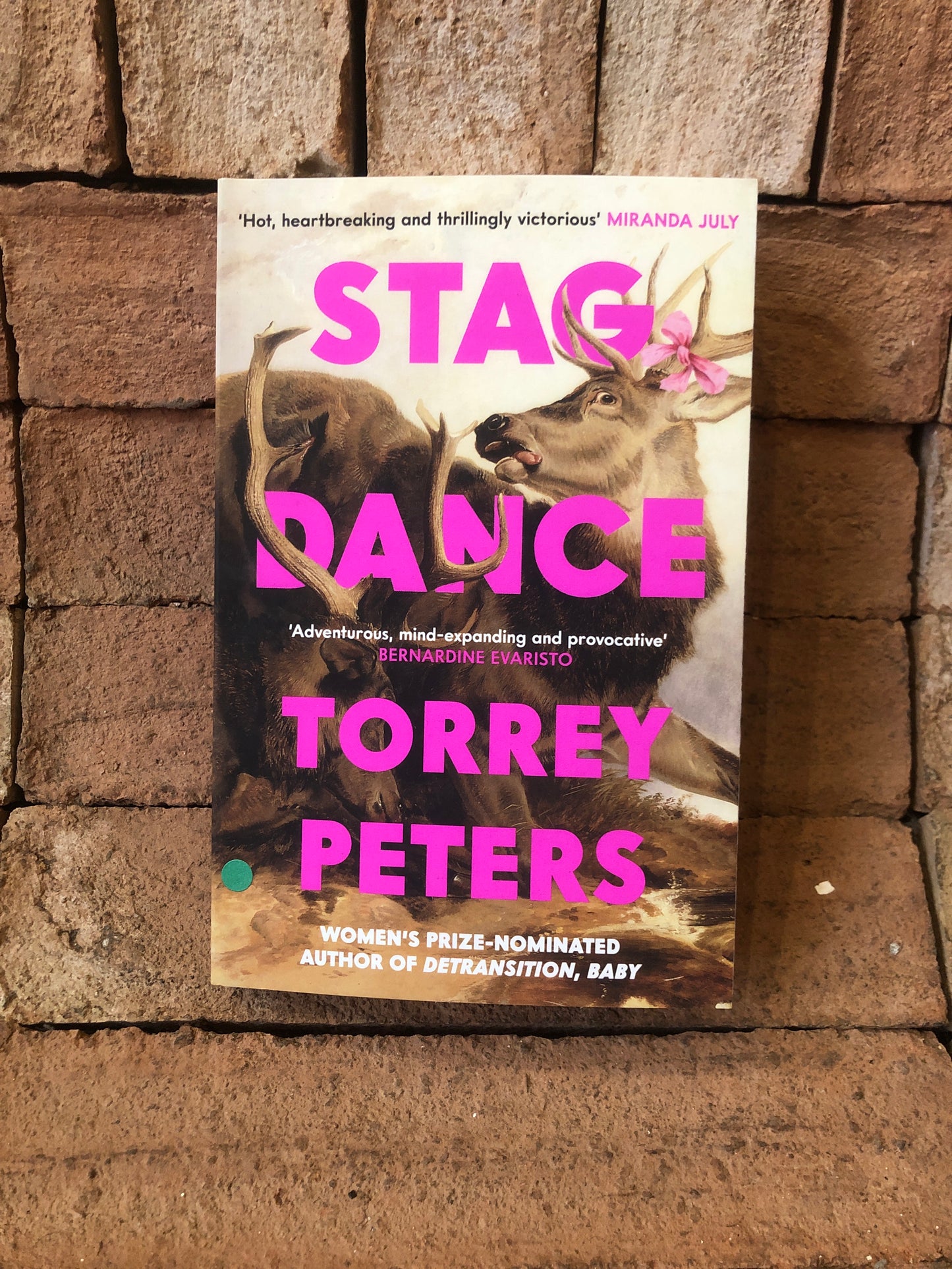 Stag Dance