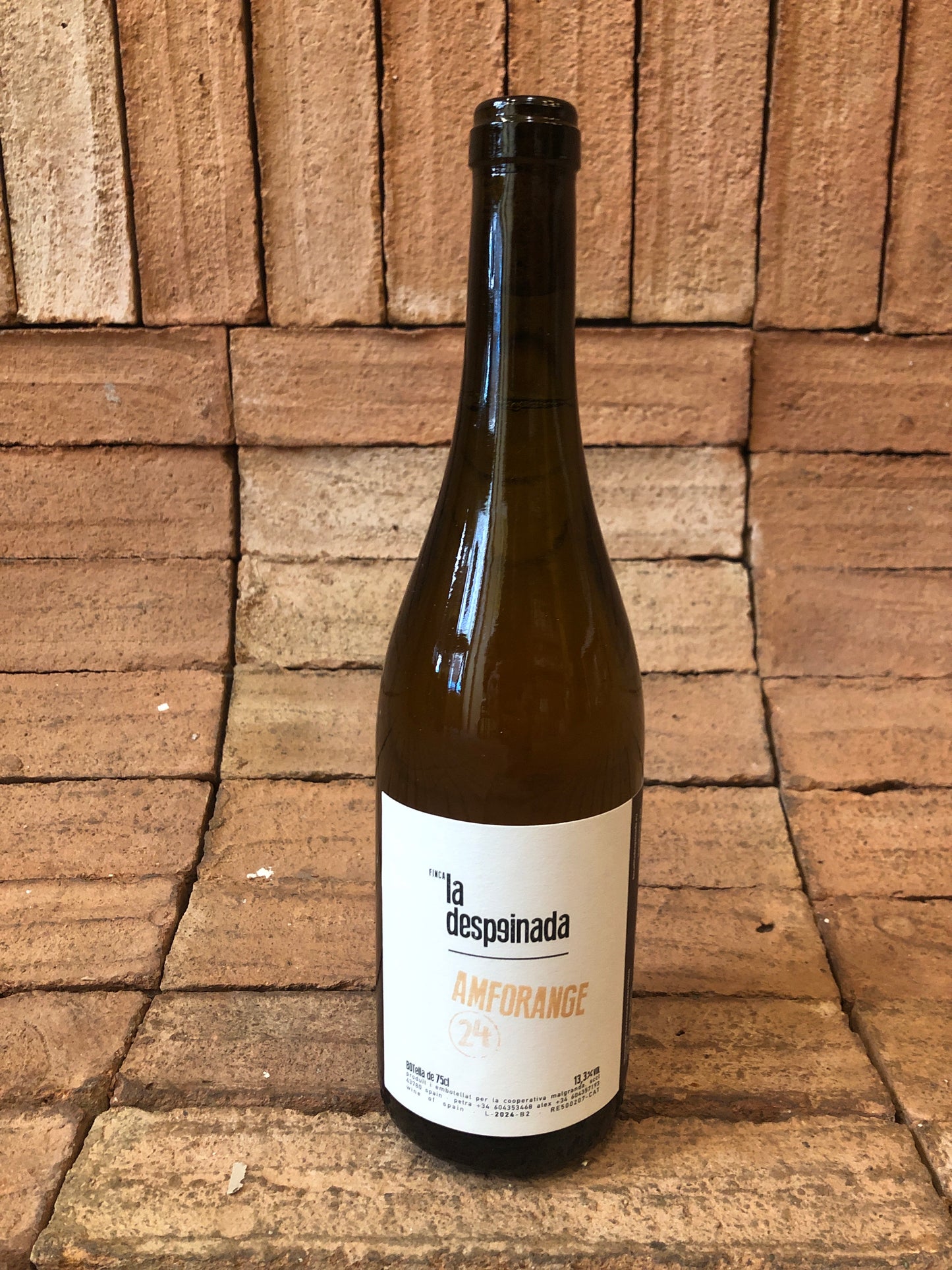 La Despeinada - Amphorange 2024