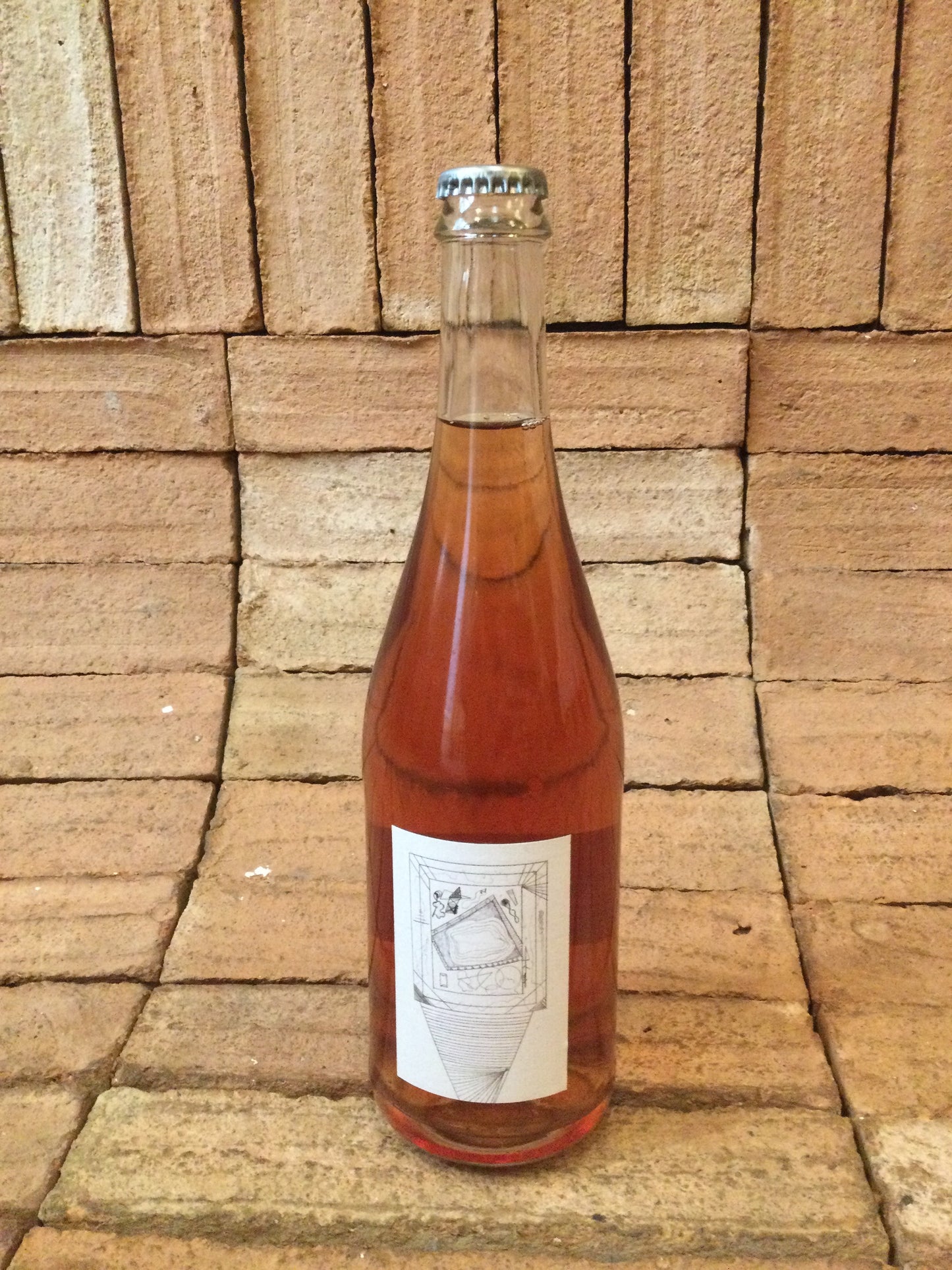 L'Absurde Génie des Fleurs - Ploum 2024