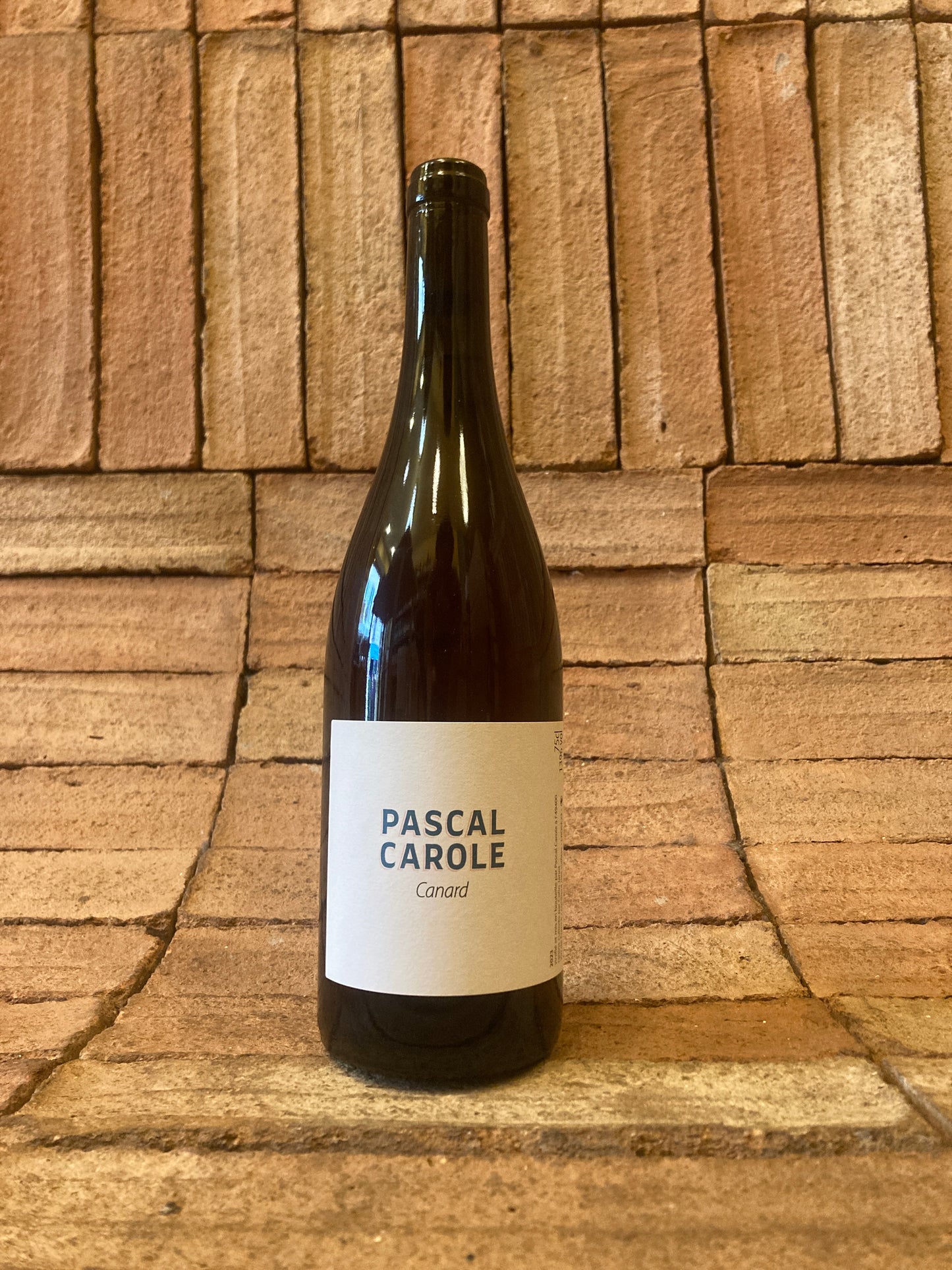 Pascal Carole - Canard 2023