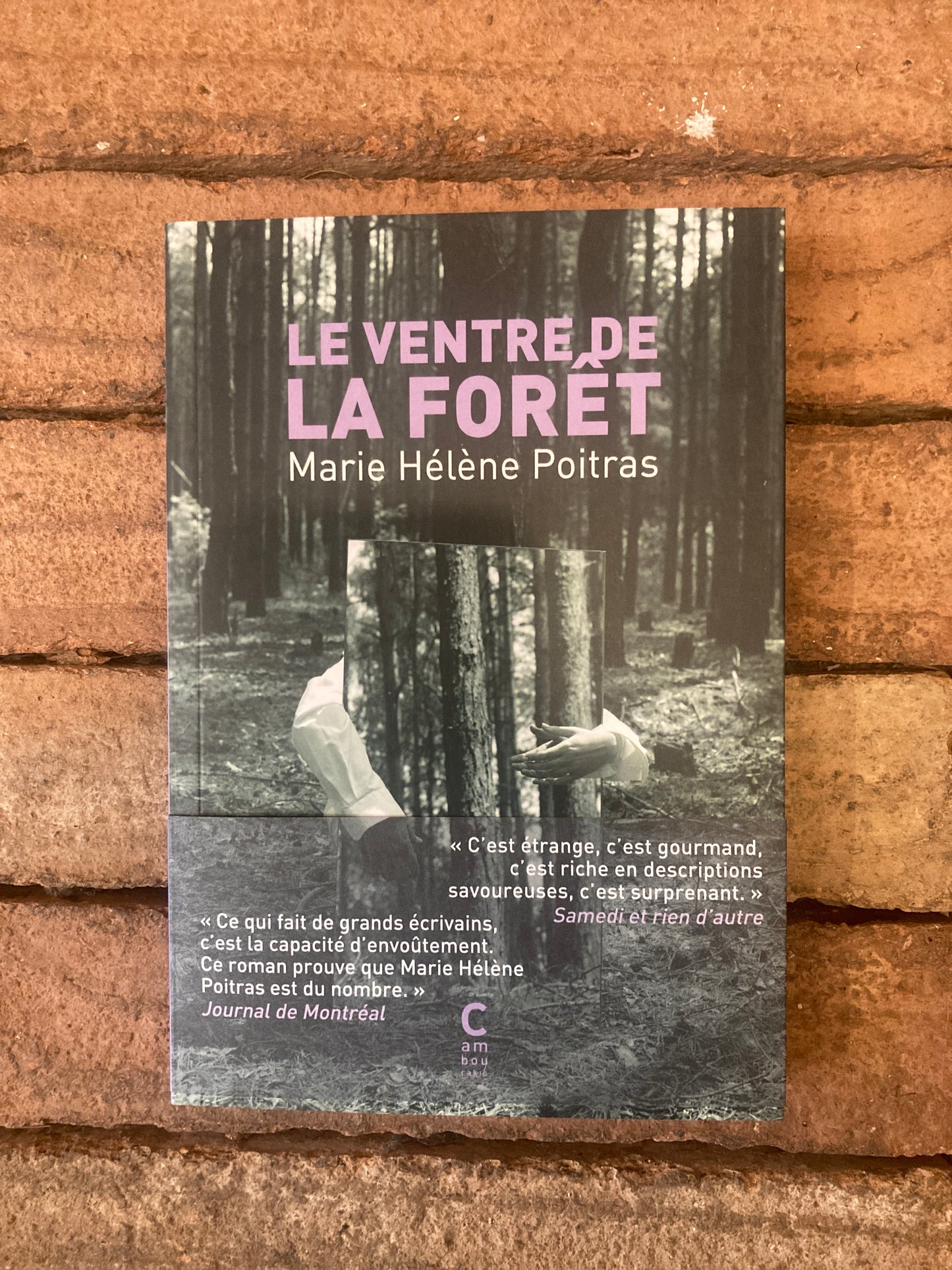 Le Ventre de la Forêt