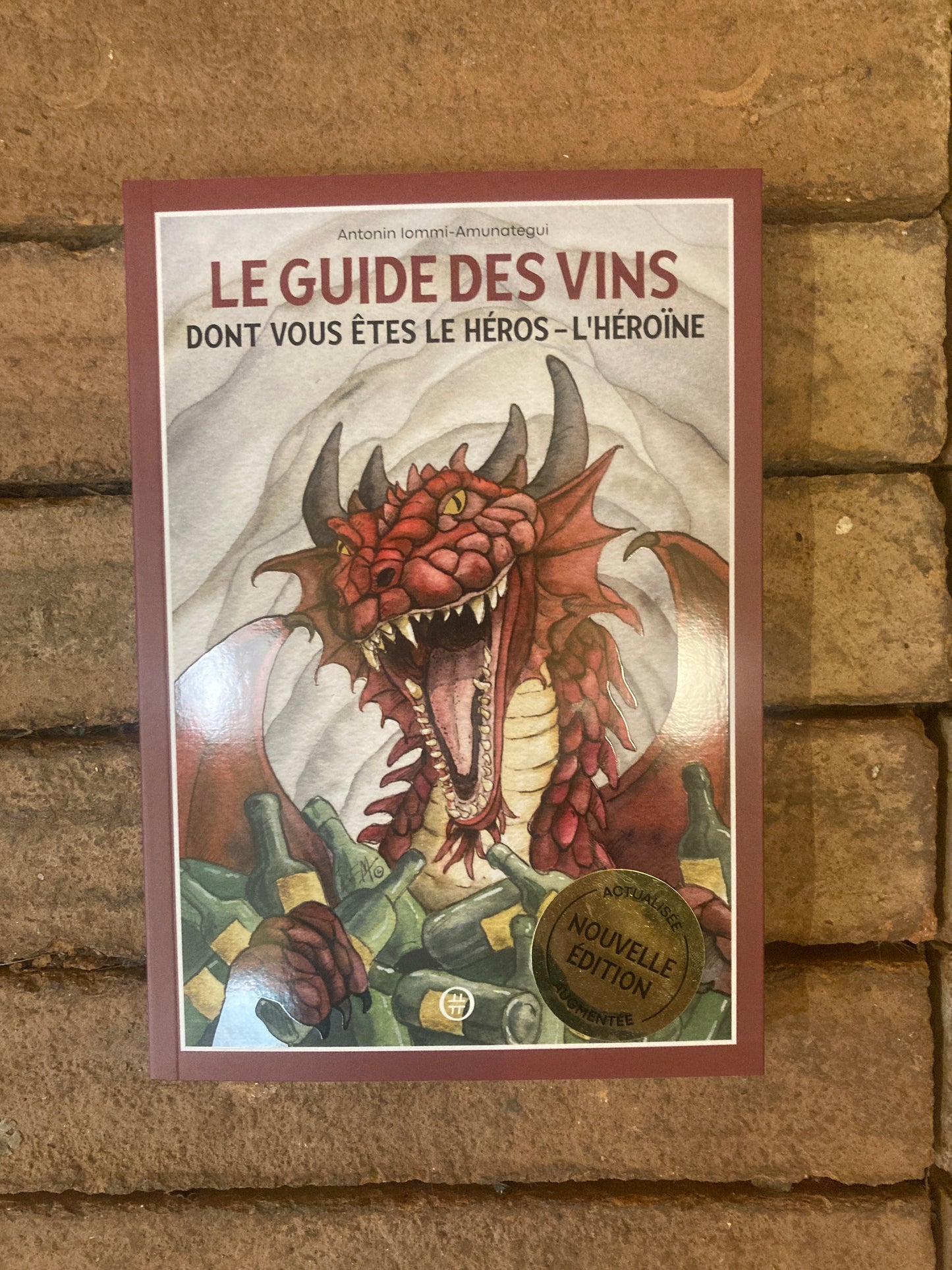 Le Guide des Vins Dont Vous Êtes le Héros-L'Héroîne