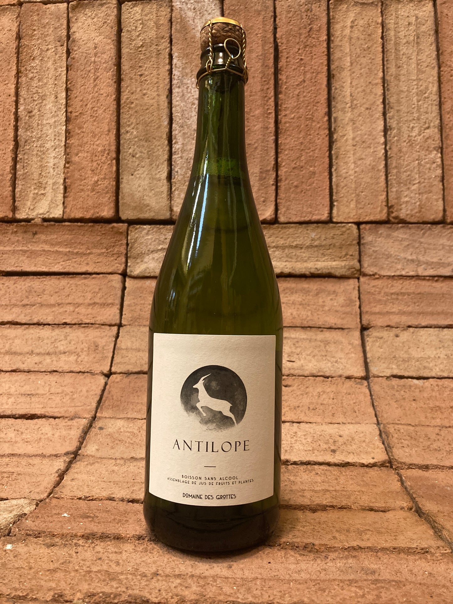 Romain des Grottes - Antilope 2023