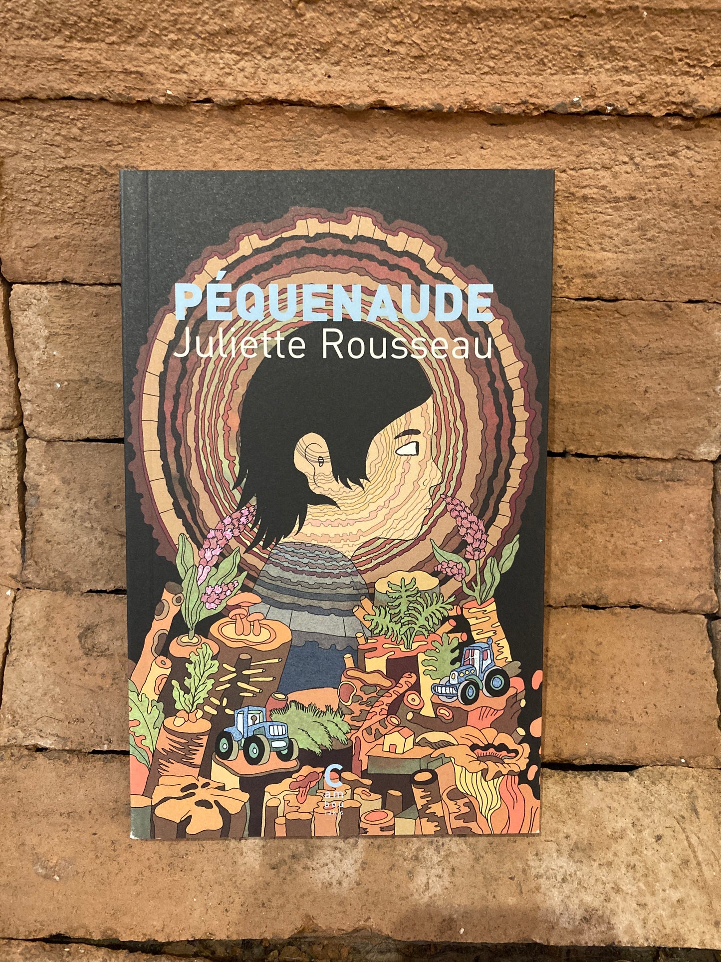 Péquenaude