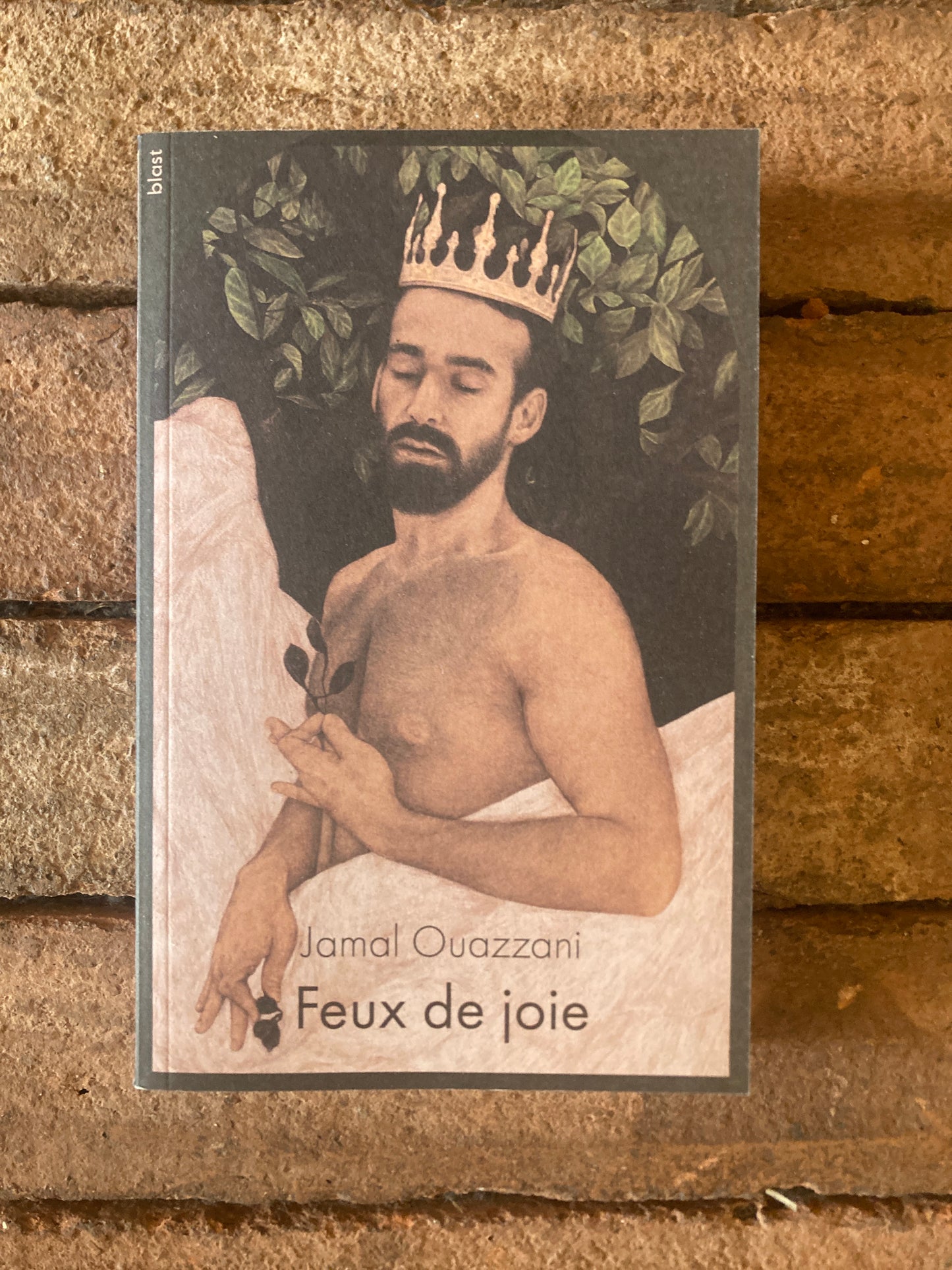 Feux de joie