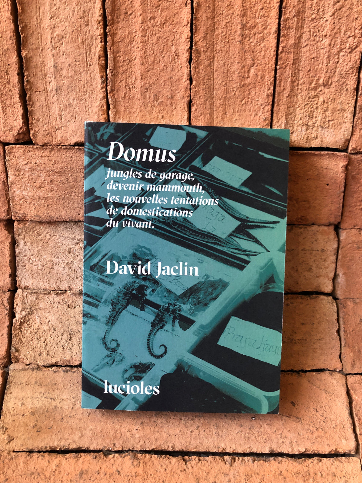 Domus, jungles de garage, devenir mammouth, les nouvelles tentations de domestication du vivant