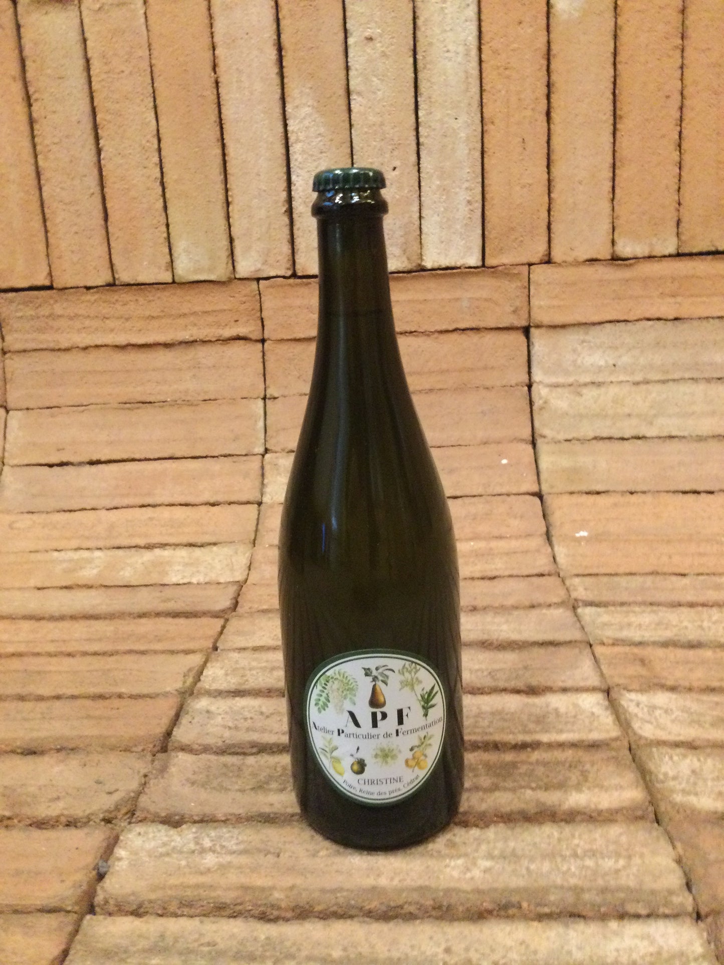 APF (Elsa Steullet) - Christine 2025