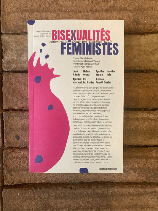 Bisexualités Féministes: Contre récits depuis une dissidence située