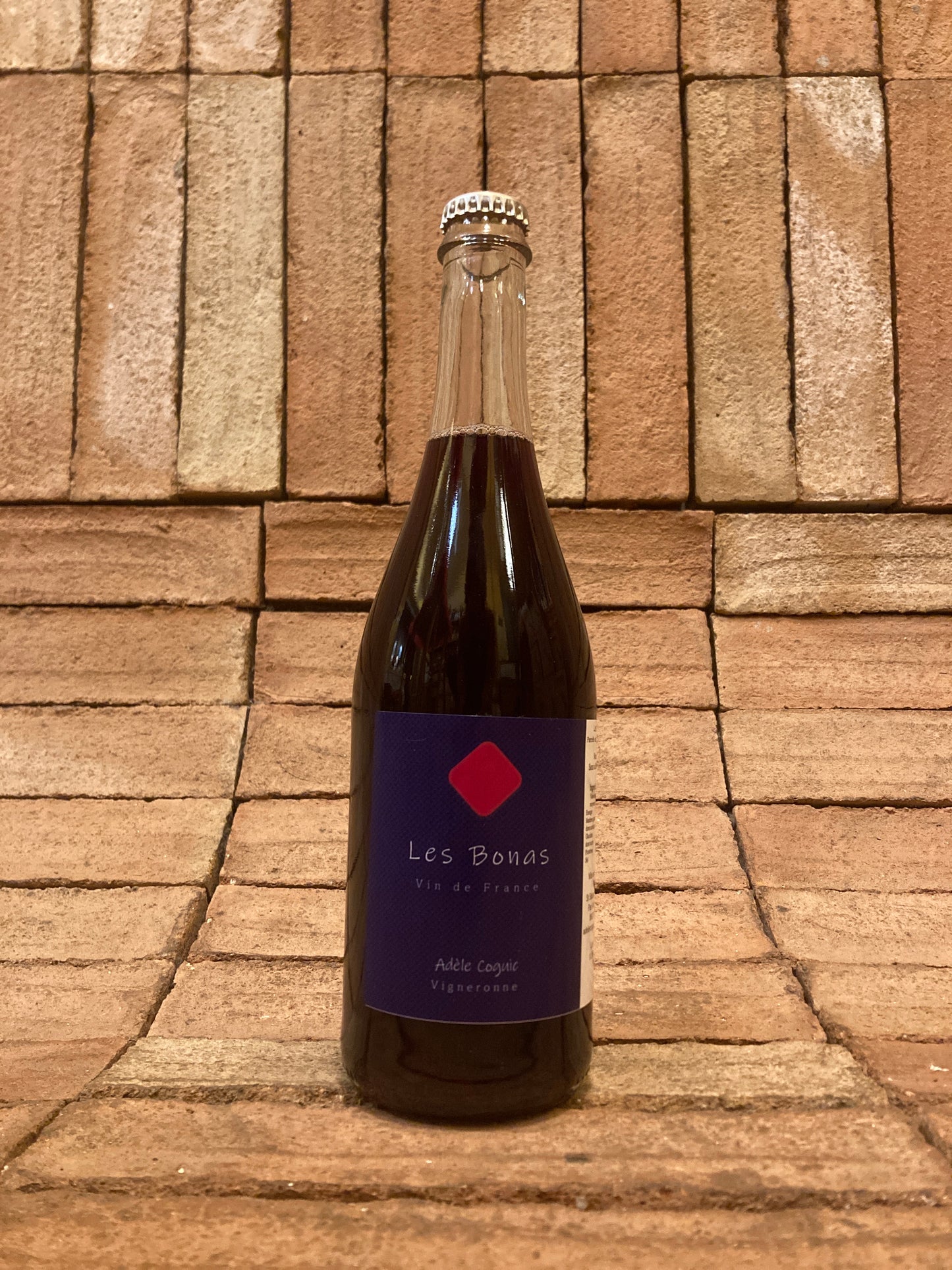 Adèle Coguic - Les Bonas 2024