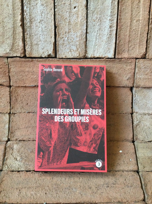 Splendeurs et misère des groupies