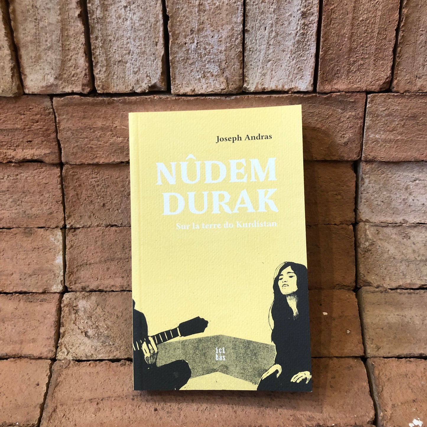 Nudem Durak Sur la terre du Kurdistan