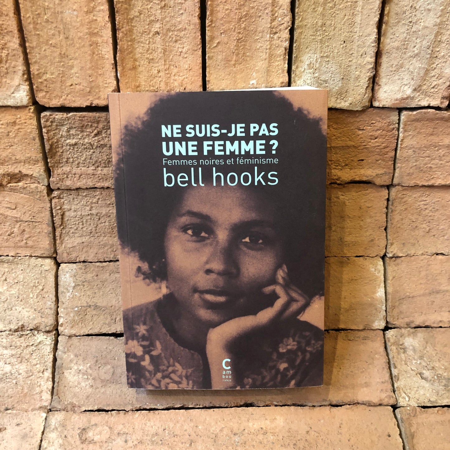 Ne Suis-Je Pas Une Femme?