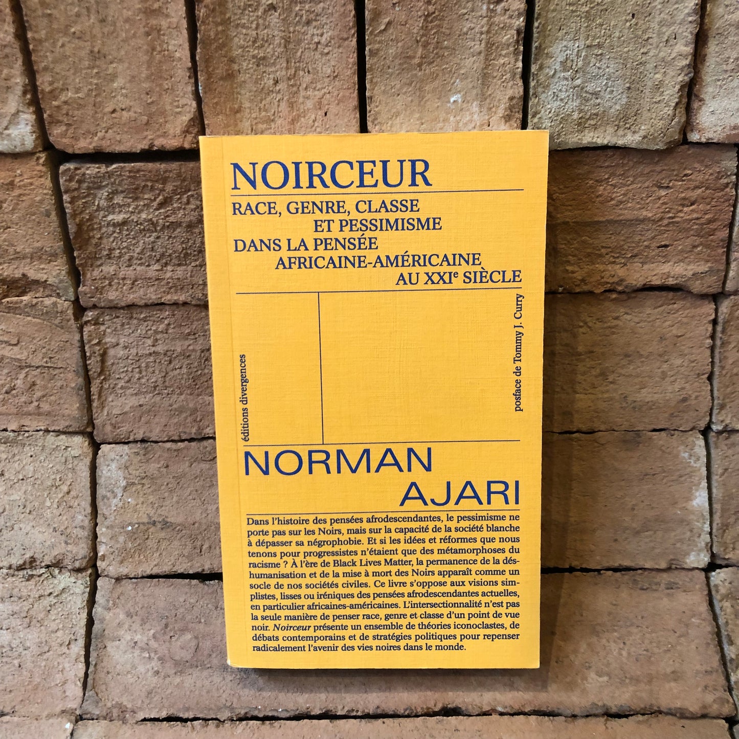 Noirceur Race genre classe et pessimisme dans la pensée africaine américaine au XXIe