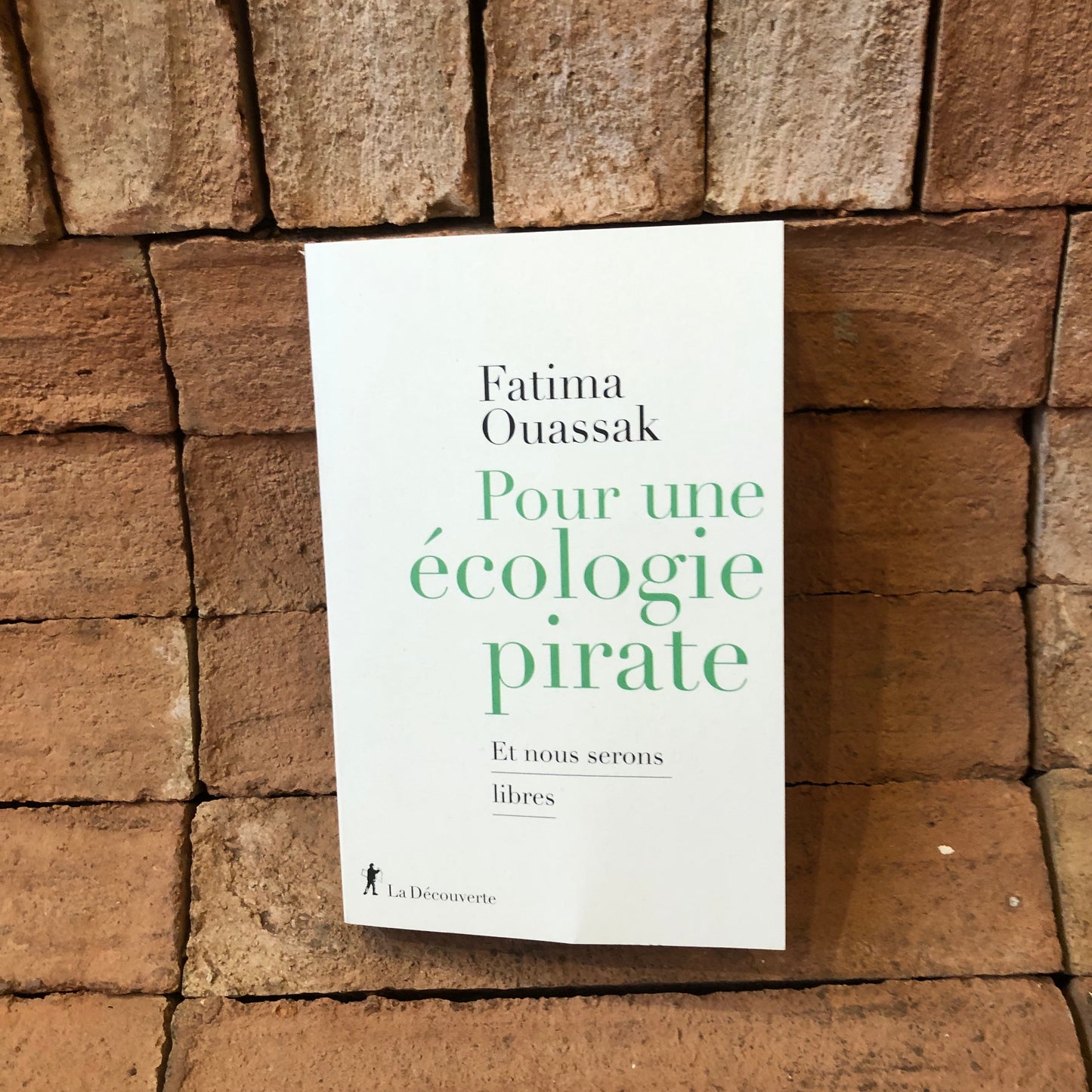 Pour une écologie pirate