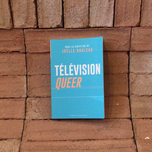 Télévision Queer